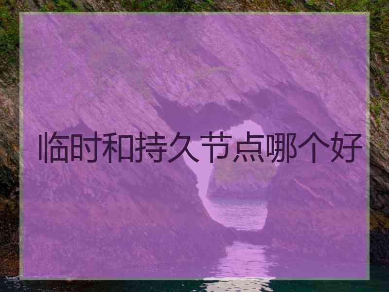 临时和持久节点哪个好