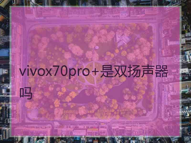 vivox70pro+是双扬声器吗