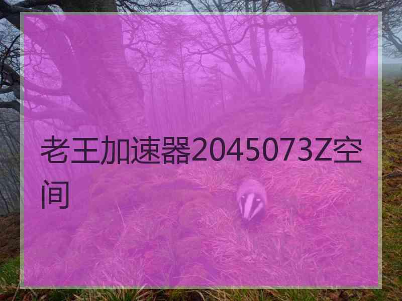 老王加速器2045073Z空间