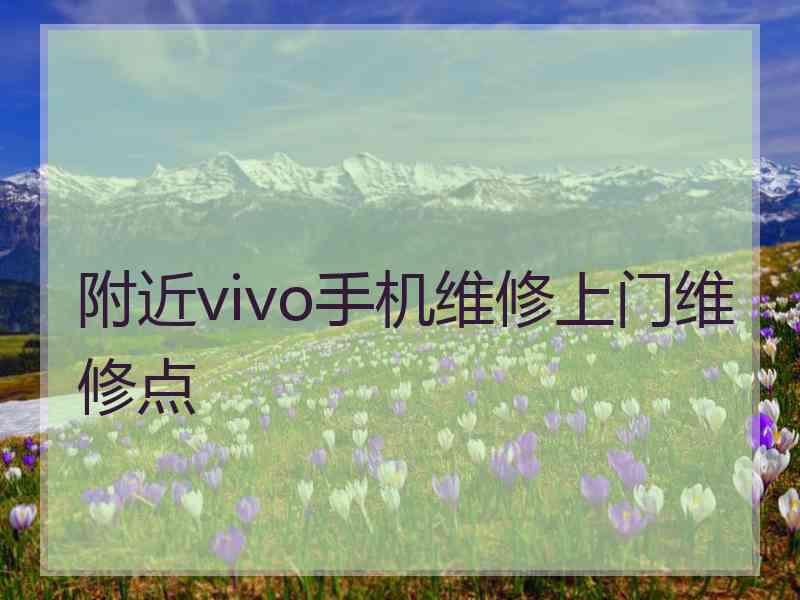 附近vivo手机维修上门维修点