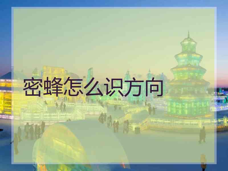 密蜂怎么识方向