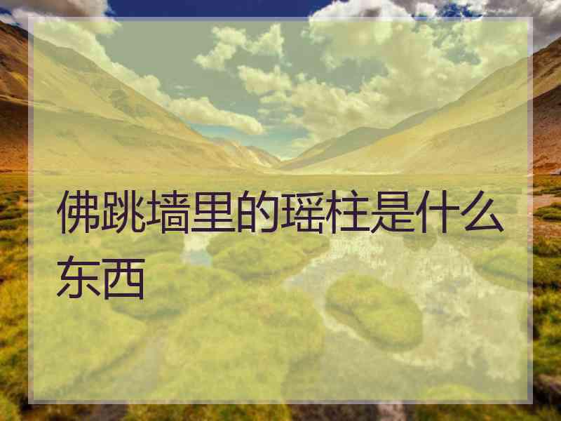 佛跳墙里的瑶柱是什么东西