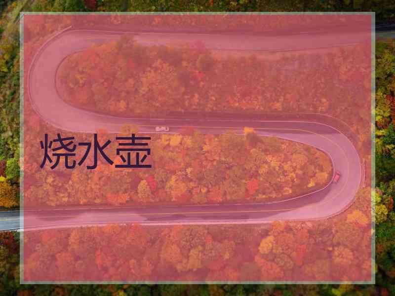 烧水壶