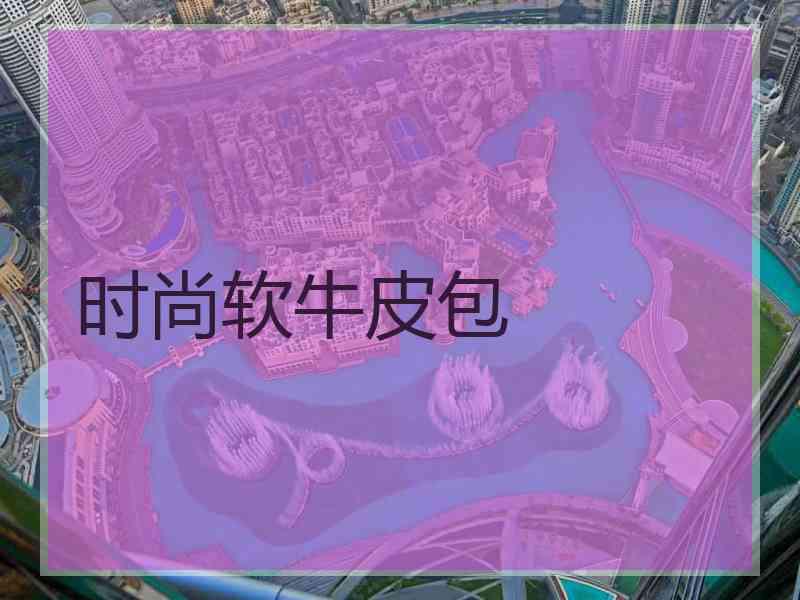 时尚软牛皮包