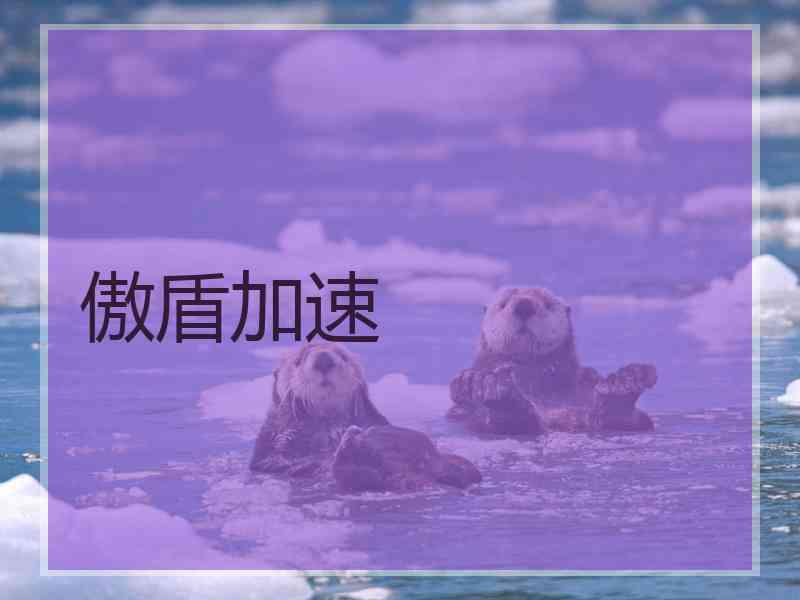 傲盾加速