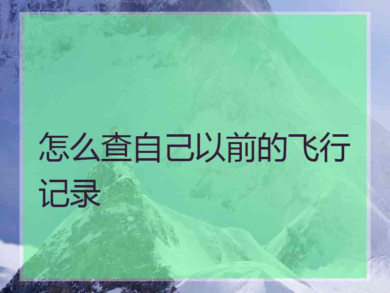 怎么查自己以前的飞行记录