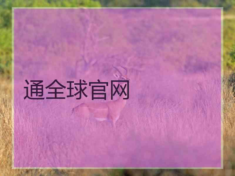 通全球官网