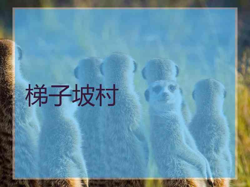 梯子坡村