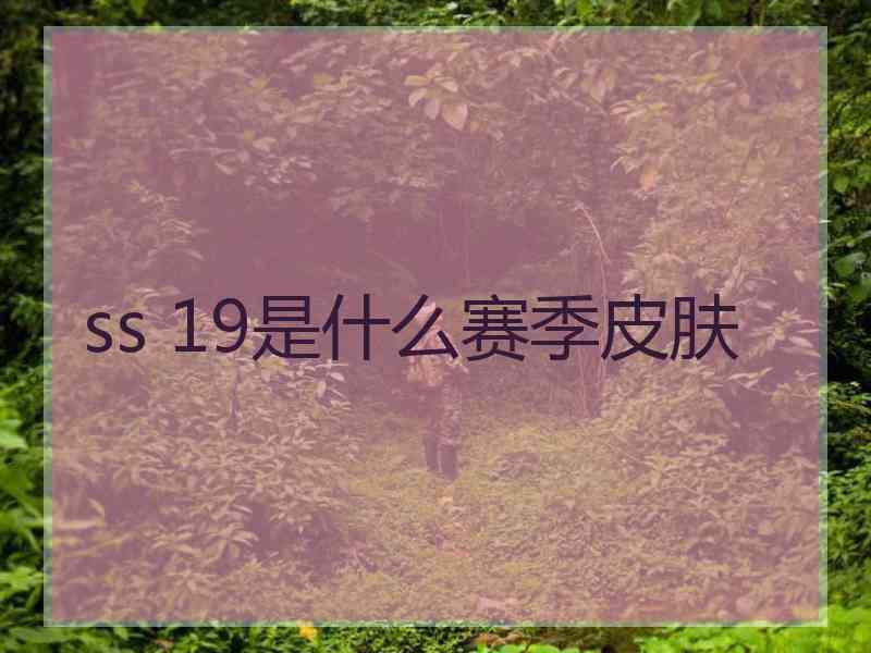 ss 19是什么赛季皮肤