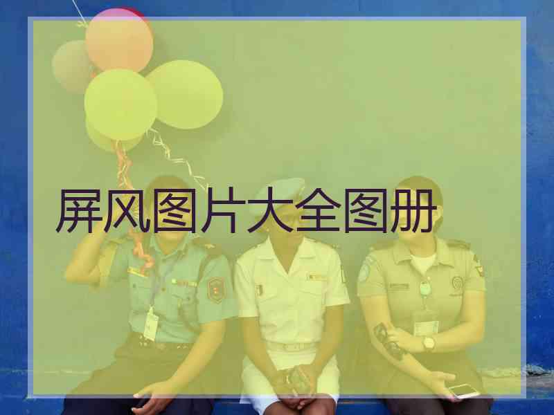 屏风图片大全图册