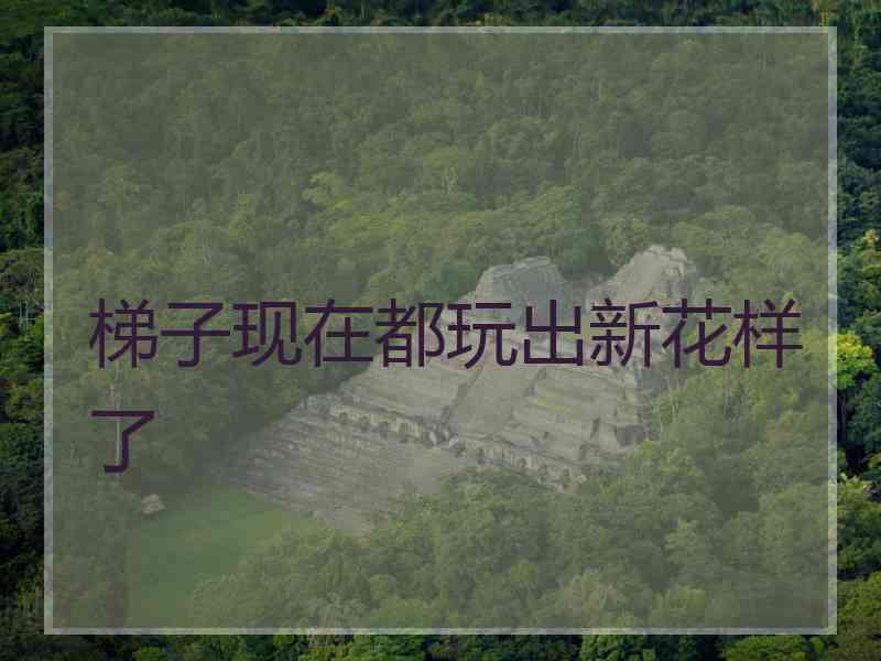 梯子现在都玩出新花样了