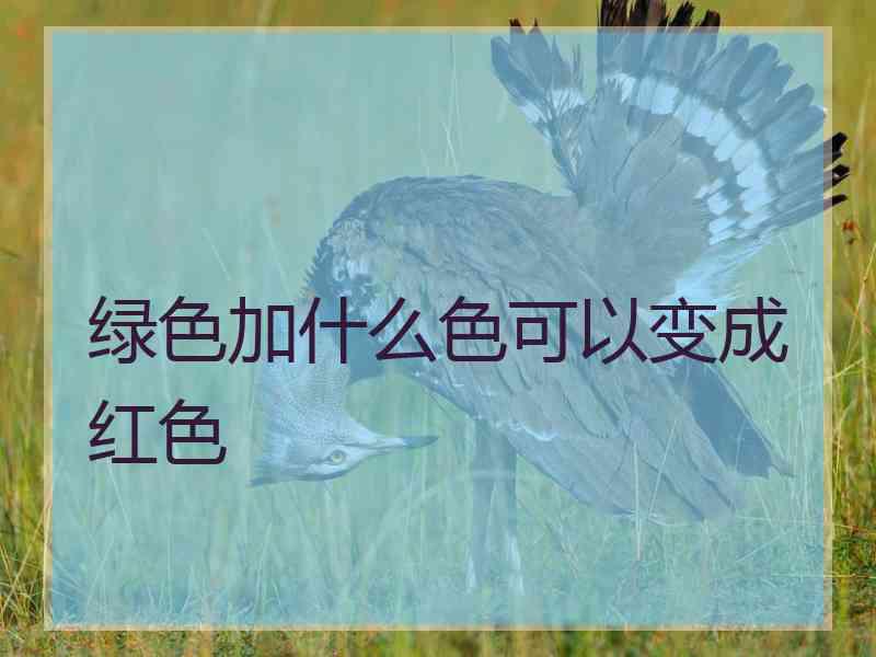 绿色加什么色可以变成红色