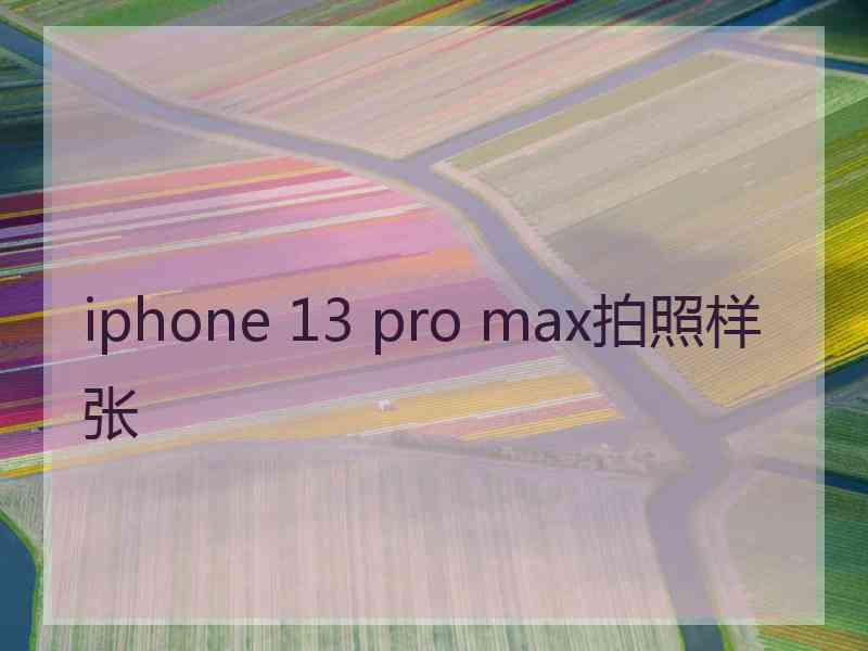 iphone 13 pro max拍照样张
