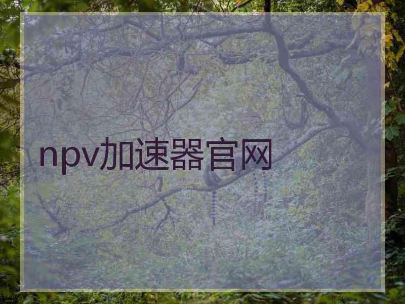 npv加速器官网