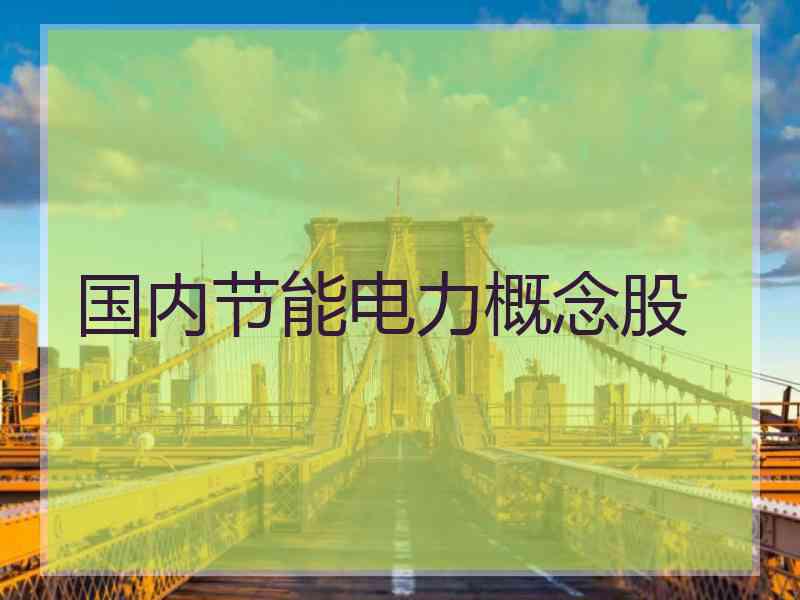 国内节能电力概念股