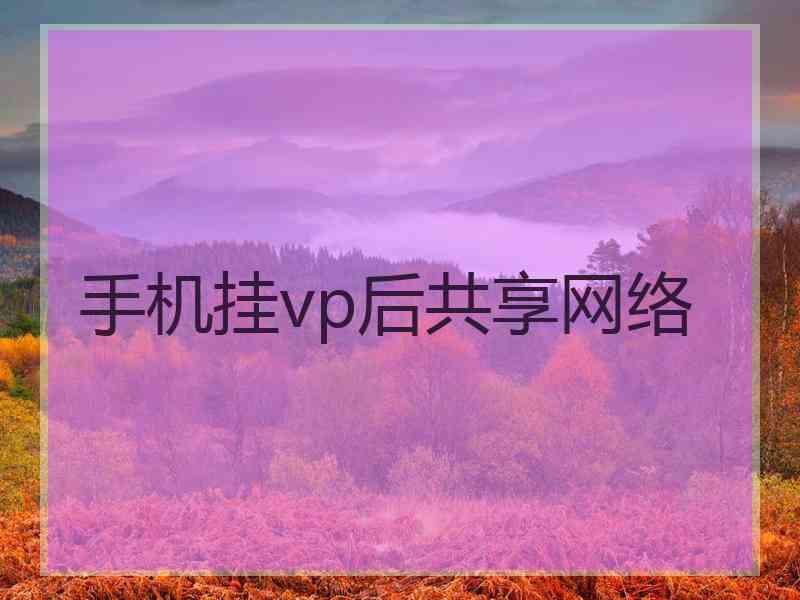手机挂vp后共享网络