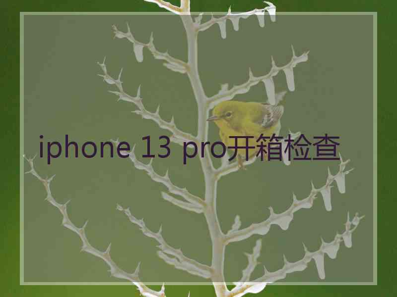 iphone 13 pro开箱检查