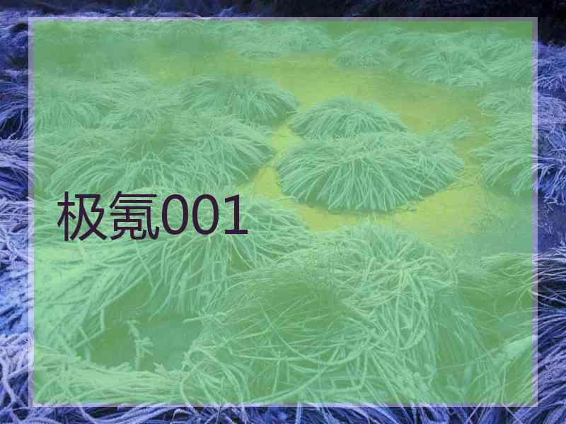 极氪001