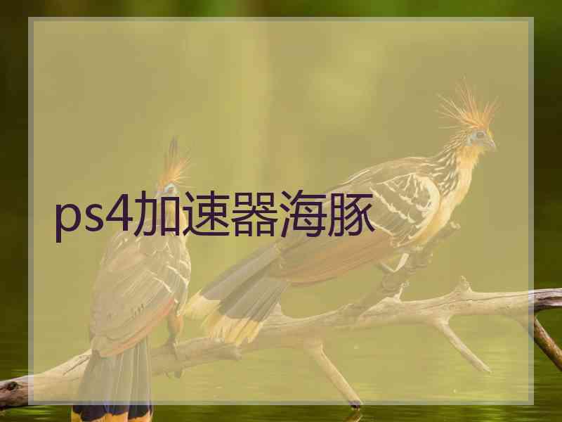 ps4加速器海豚