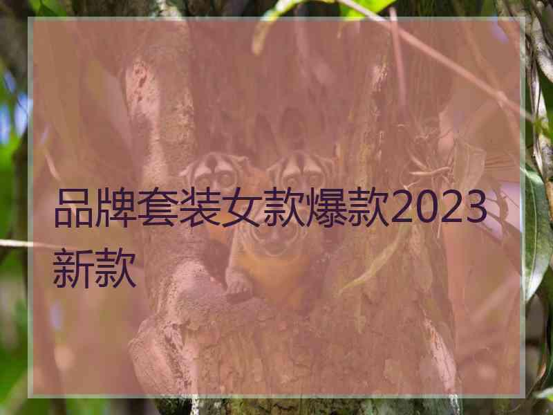 品牌套装女款爆款2023新款