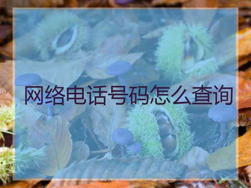 网络电话号码怎么查询