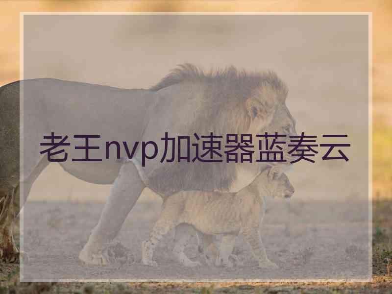 老王nvp加速器蓝奏云