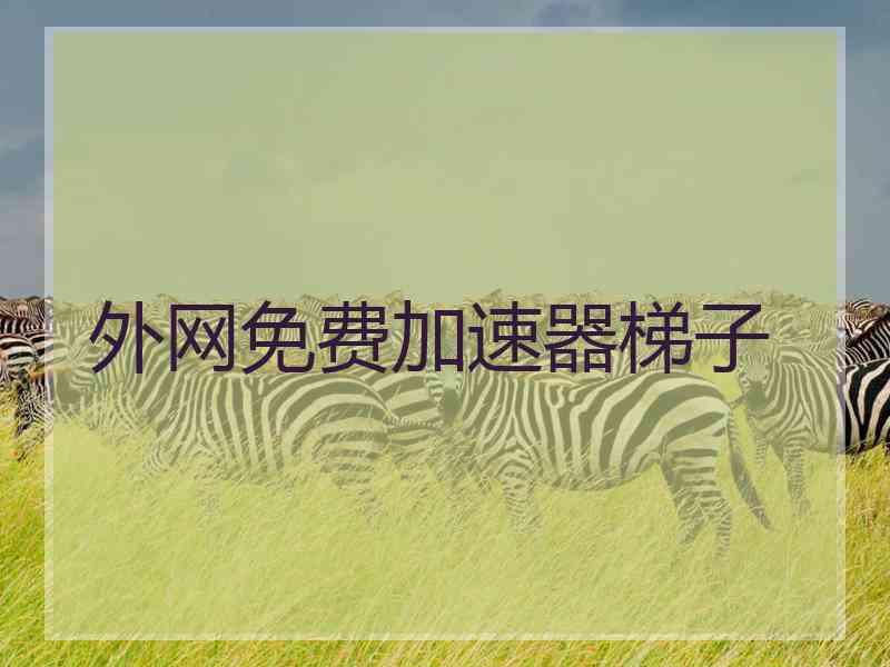 外网免费加速器梯子