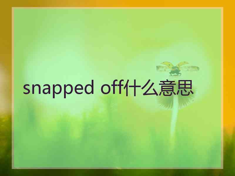 snapped off什么意思