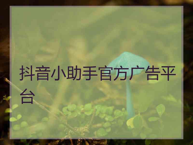 抖音小助手官方广告平台