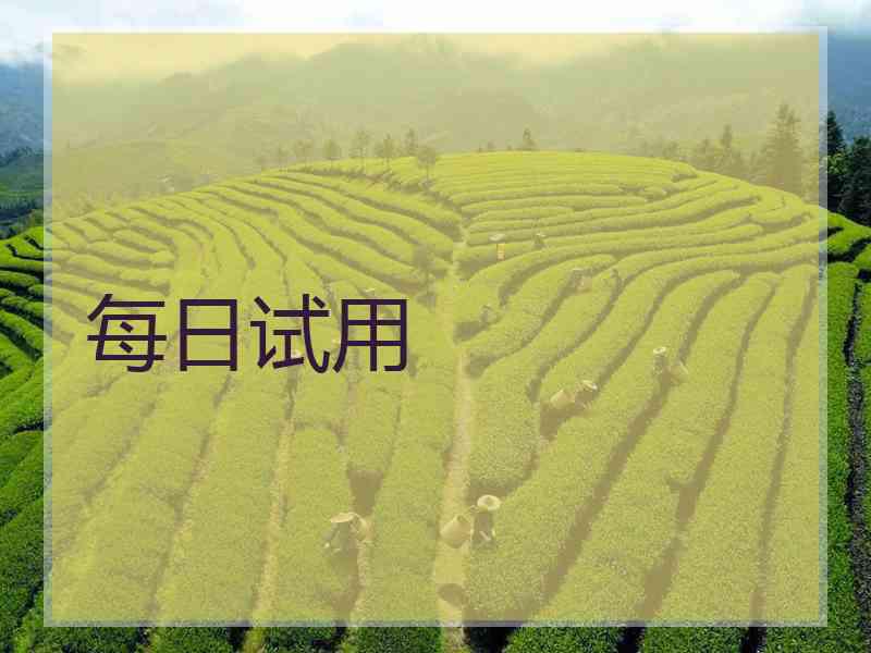 每日试用
