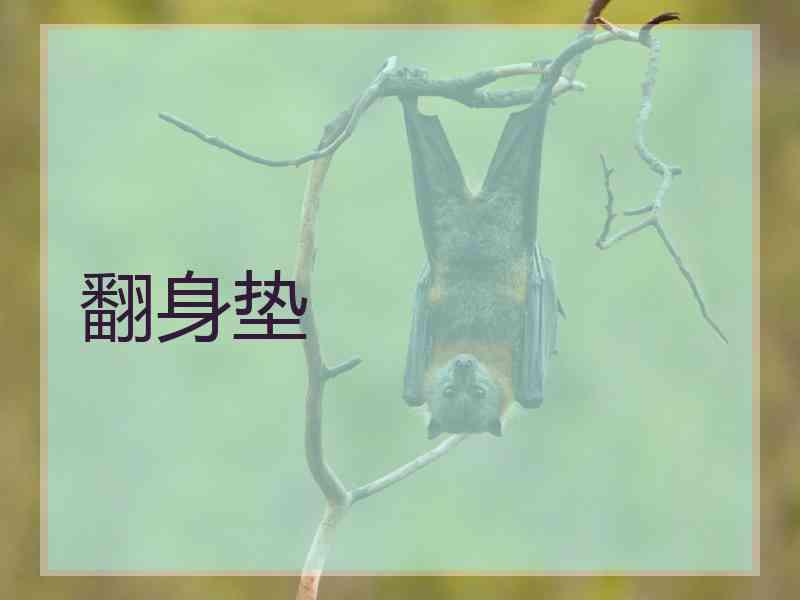 翻身垫
