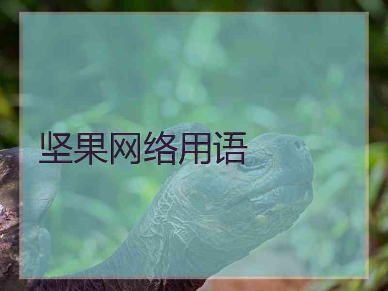 坚果网络用语