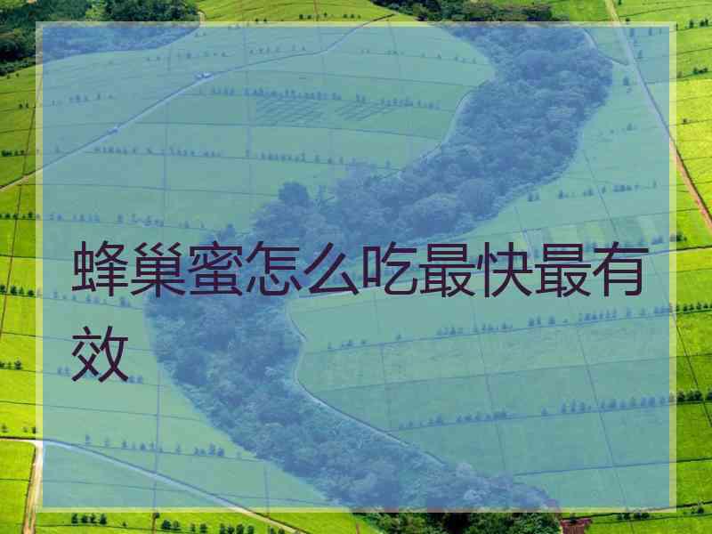 蜂巢蜜怎么吃最快最有效