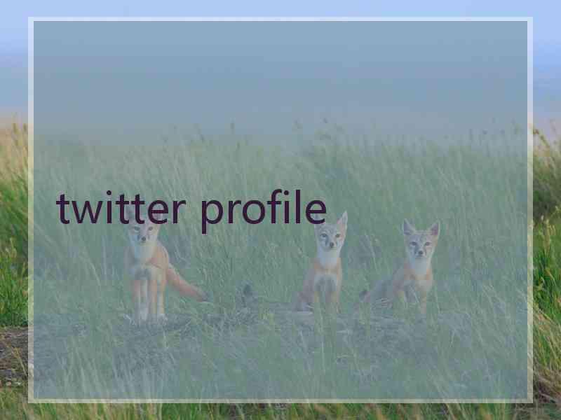 twitter profile