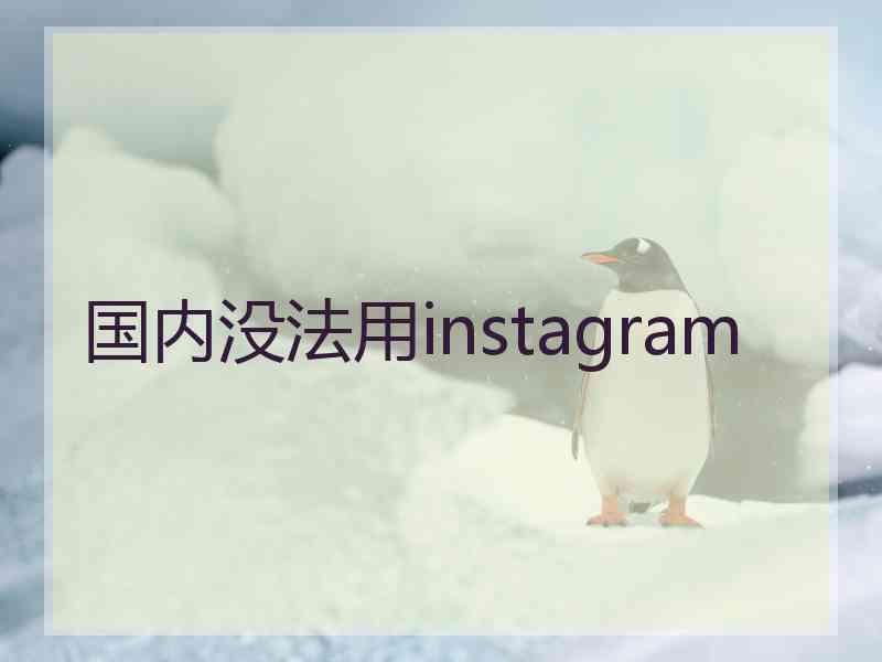 国内没法用instagram
