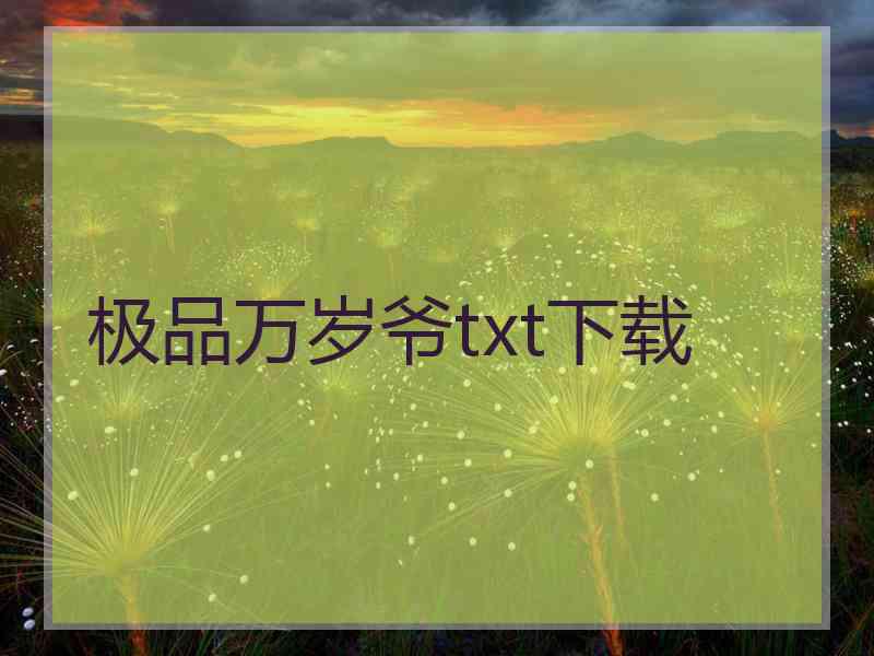 极品万岁爷txt下载