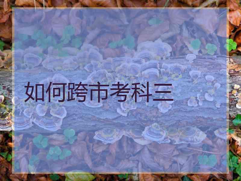 如何跨市考科三