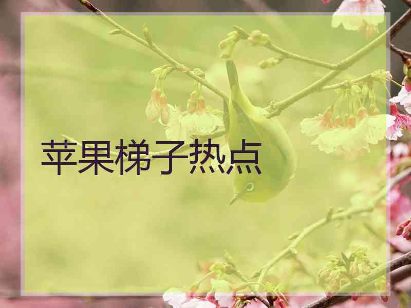 苹果梯子热点