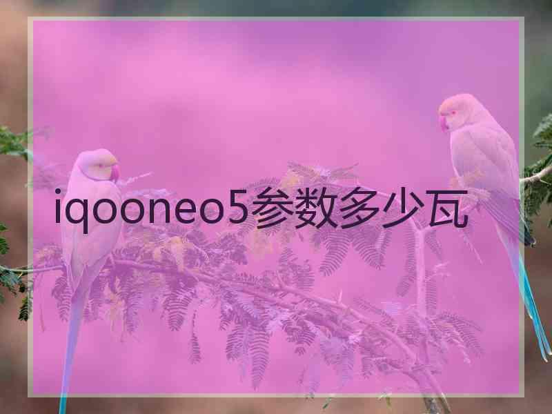 iqooneo5参数多少瓦