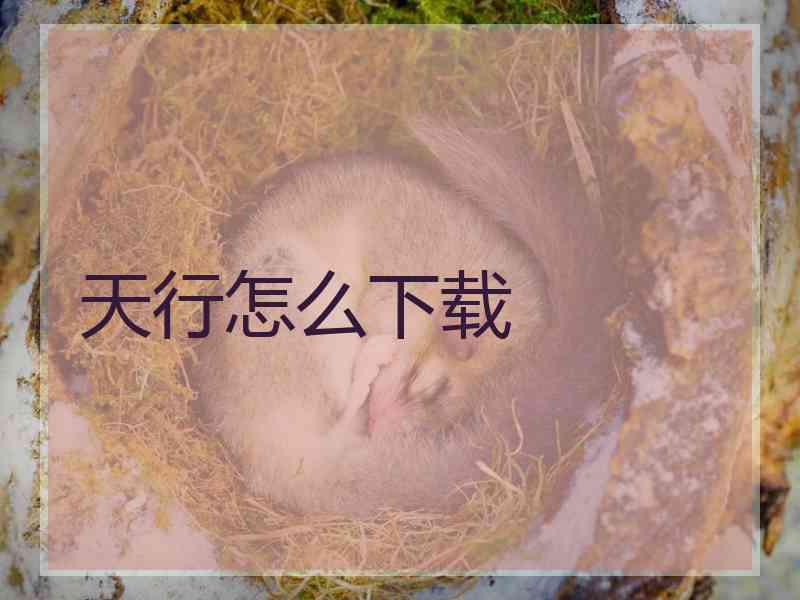 天行怎么下载