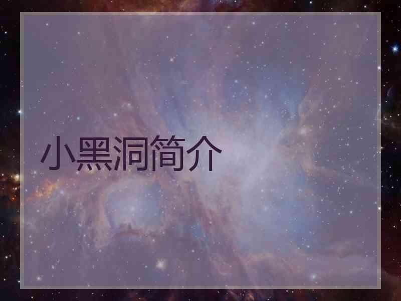 小黑洞简介