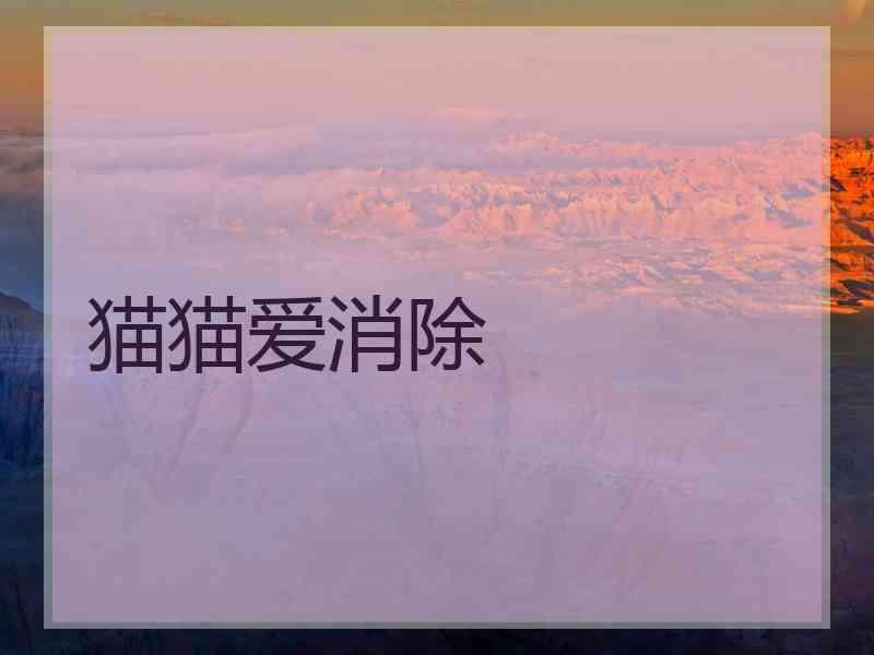 猫猫爱消除