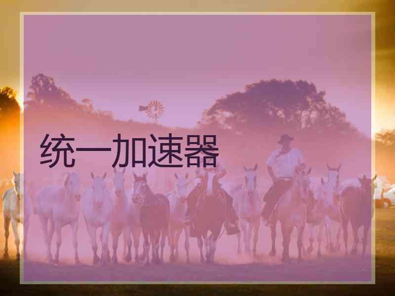 统一加速器