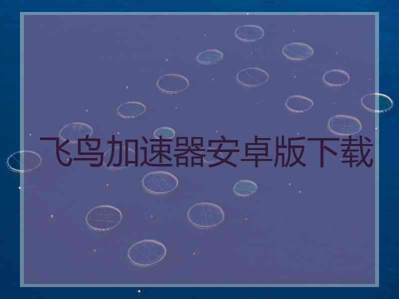 飞鸟加速器安卓版下载