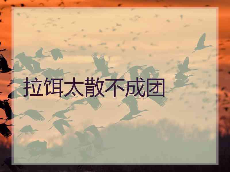 拉饵太散不成团