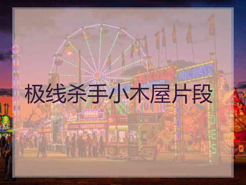 极线杀手小木屋片段
