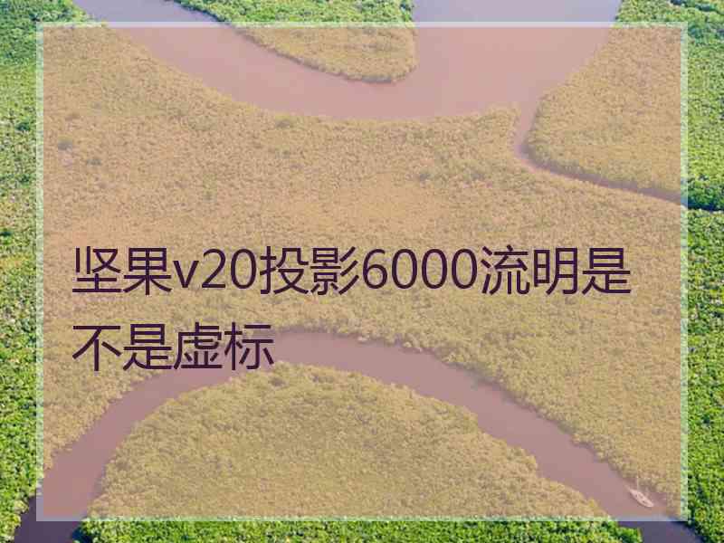 坚果v20投影6000流明是不是虚标