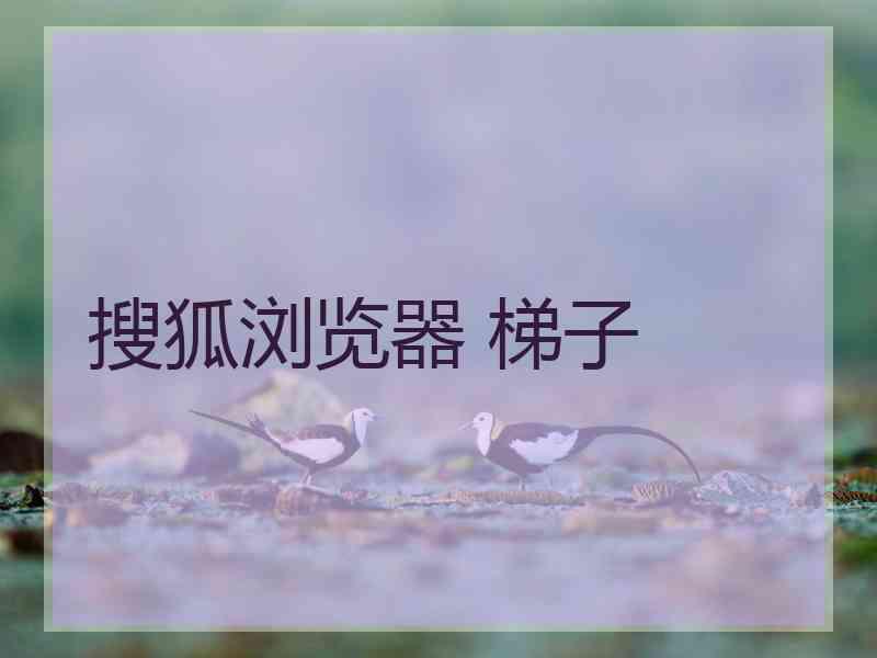 搜狐浏览器 梯子