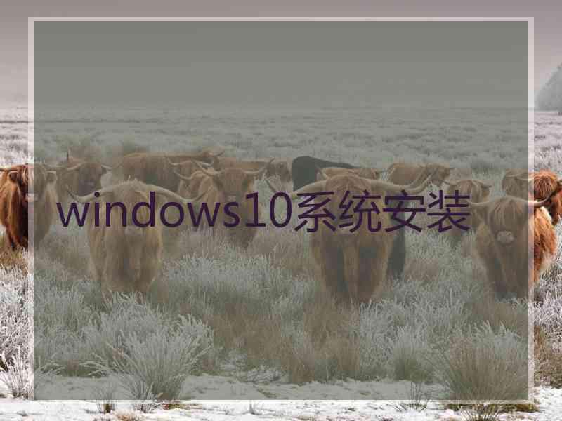 windows10系统安装