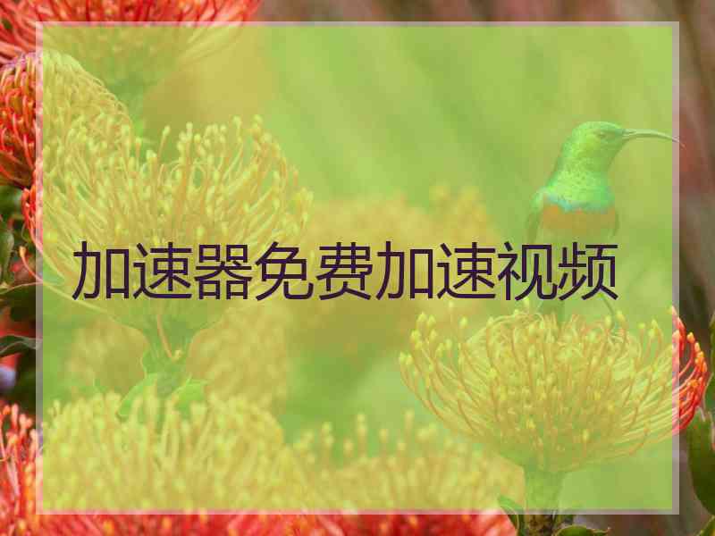 加速器免费加速视频